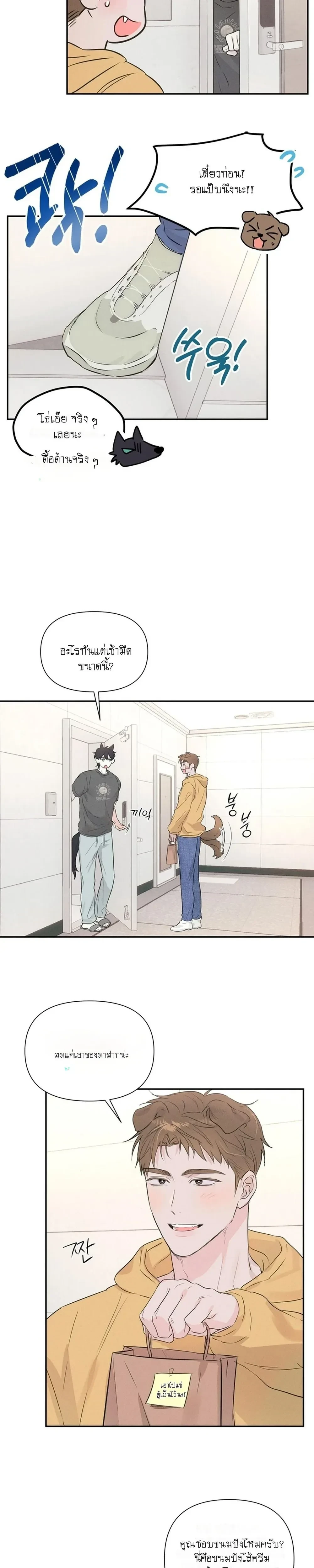 หน้า 3 จาก 18