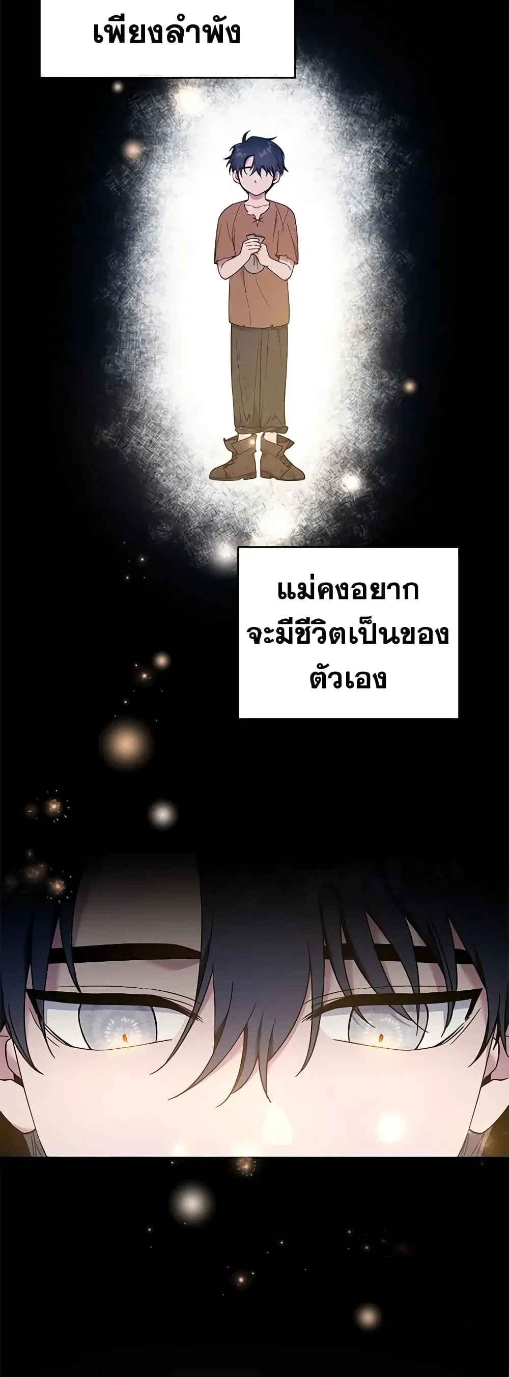 หน้า 17 จาก 52