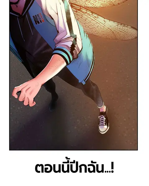 หน้า 23 จาก 168