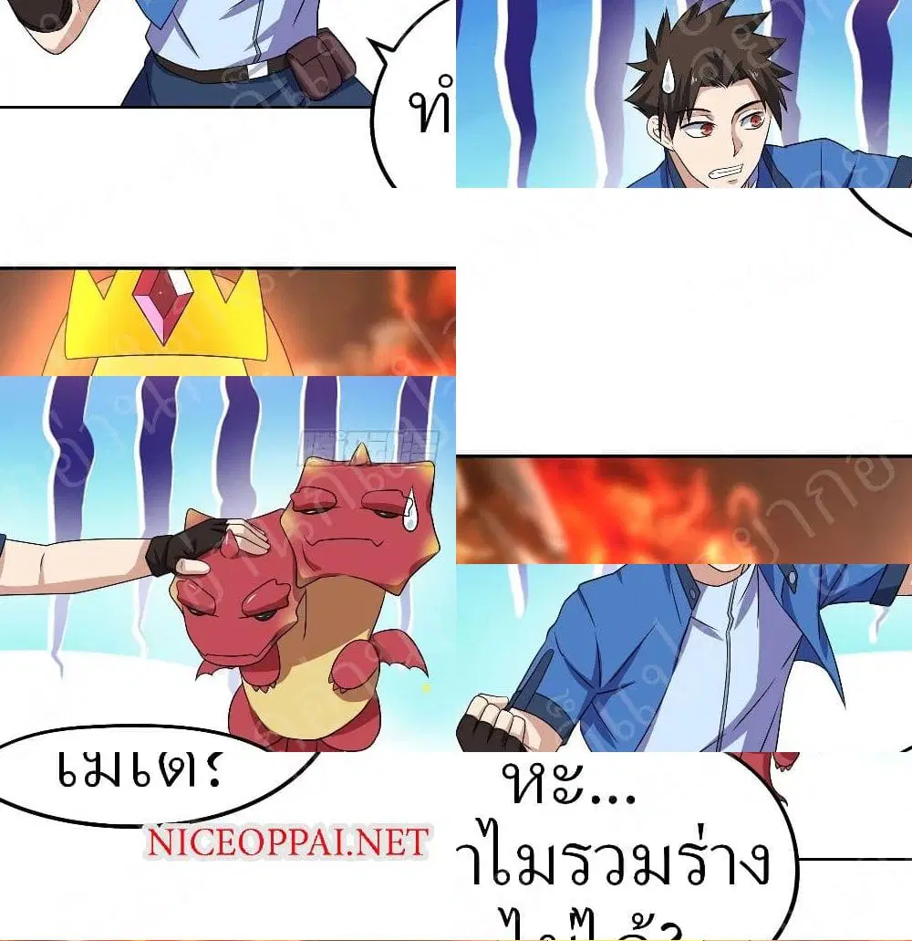 หน้า 13 จาก 14