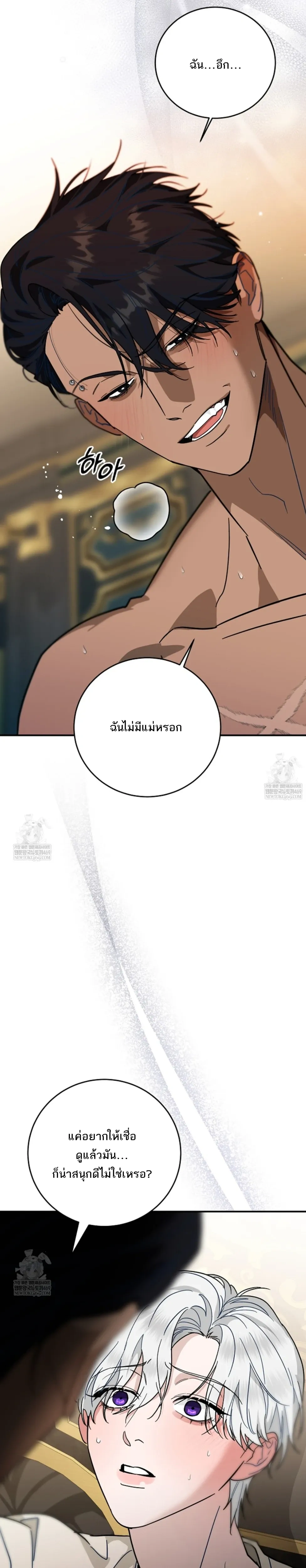 หน้า 30 จาก 31
