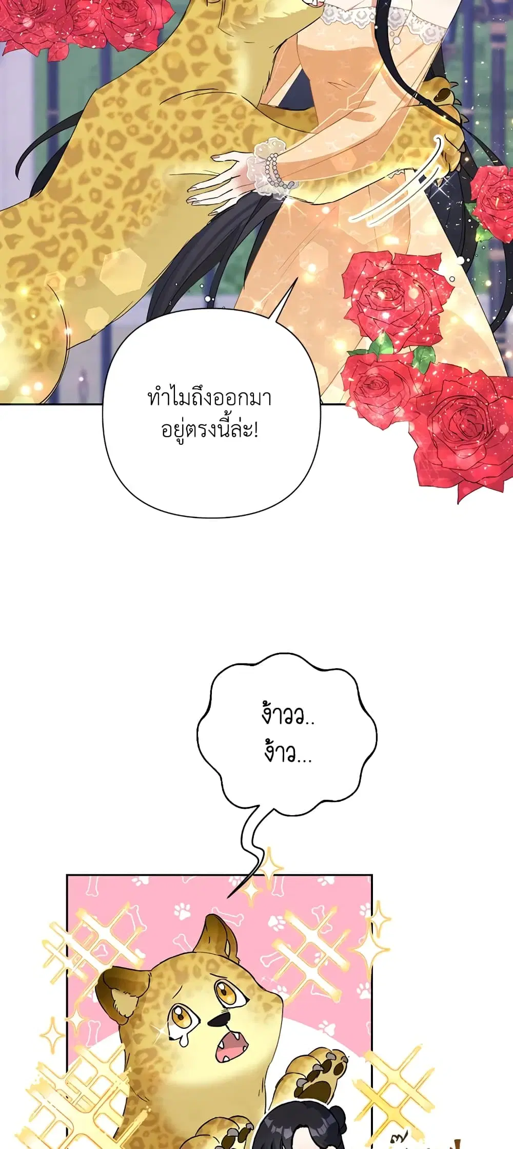 หน้า 38 จาก 62