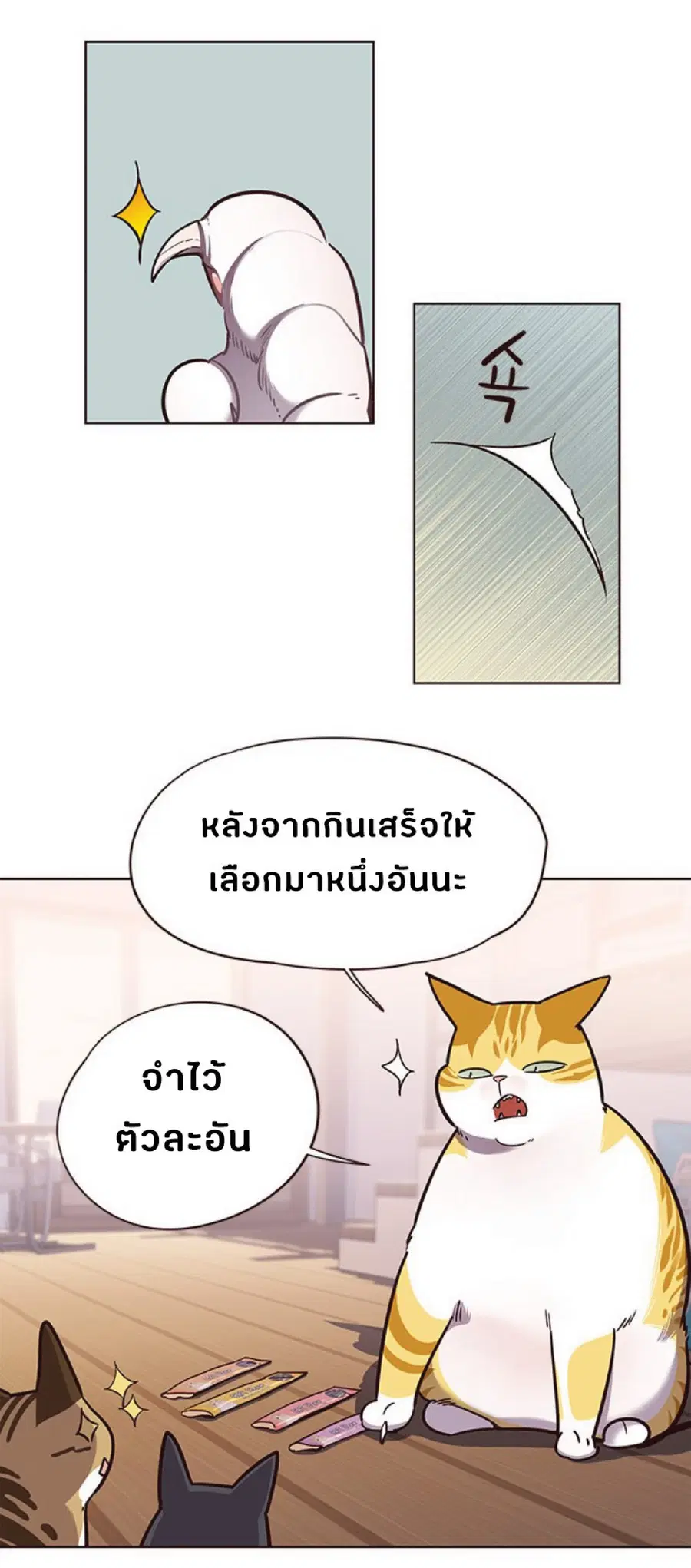 หน้า 62 จาก 78