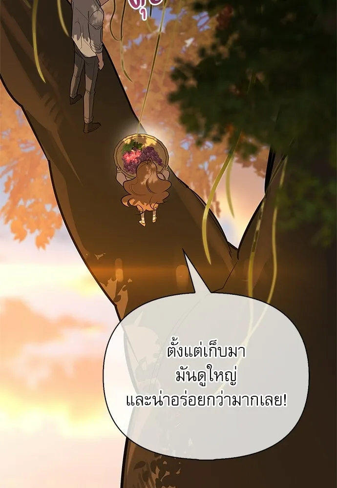 หน้า 52 จาก 150