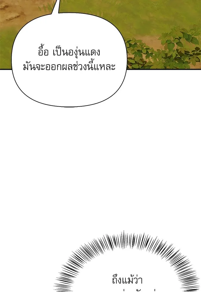 หน้า 163 จาก 177