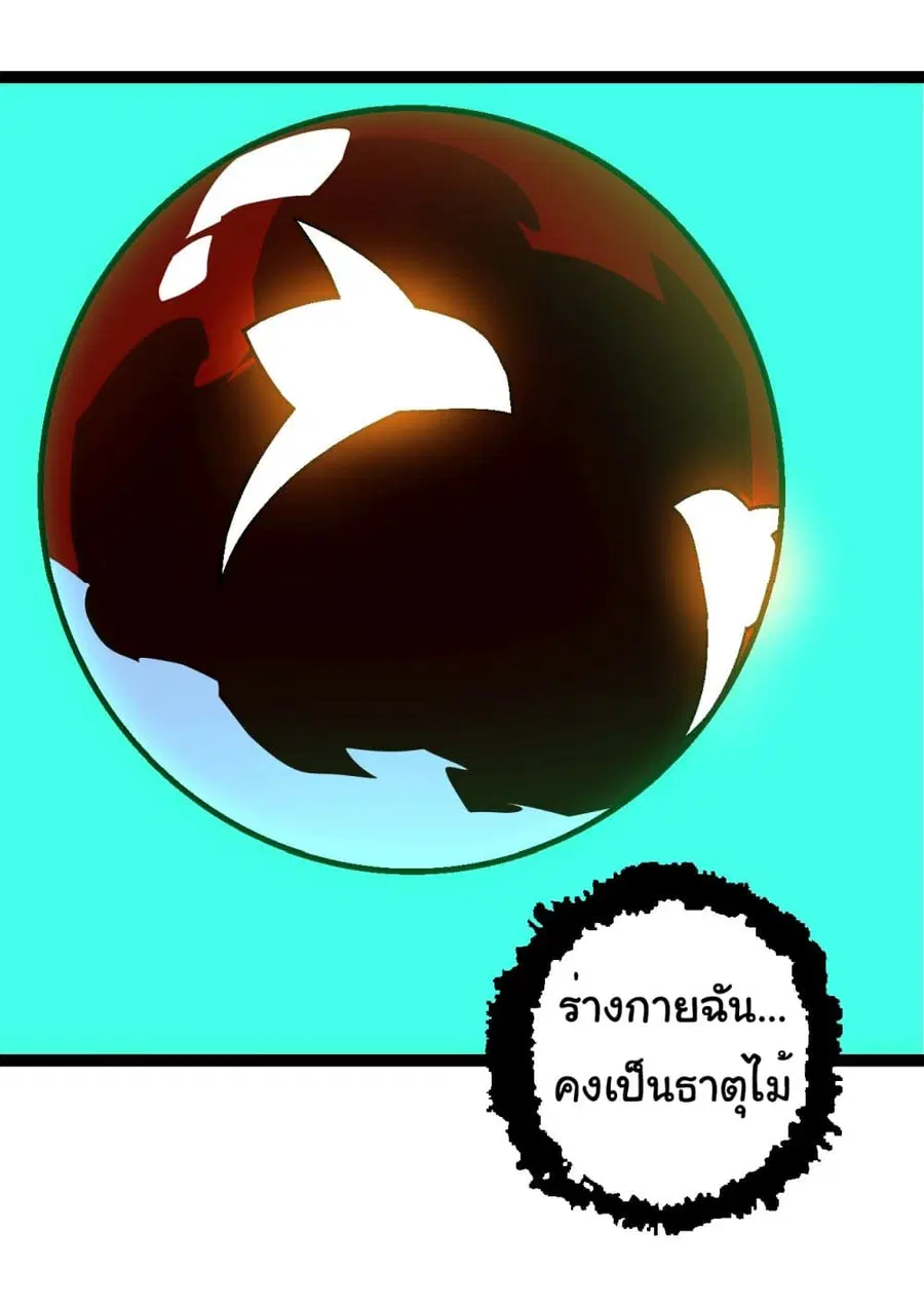 หน้า 4 จาก 40