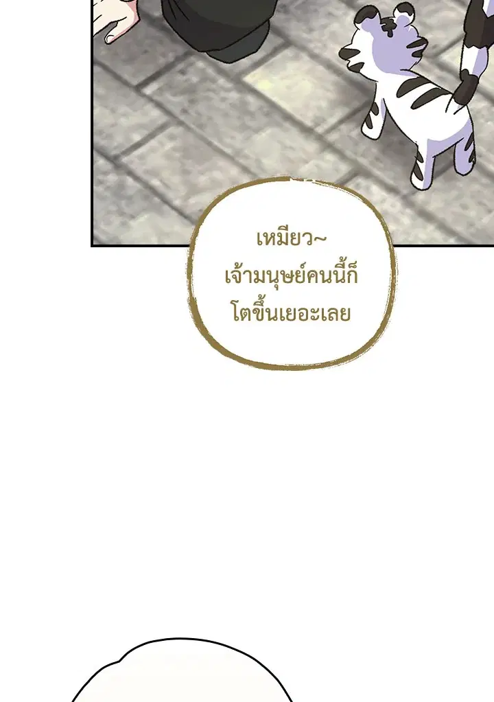 หน้า 41 จาก 109