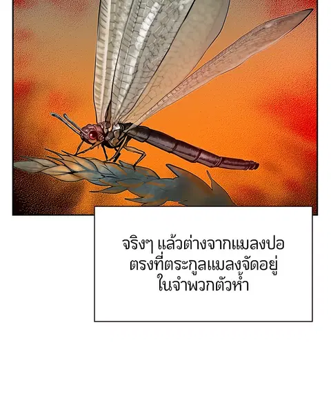 หน้า 107 จาก 171