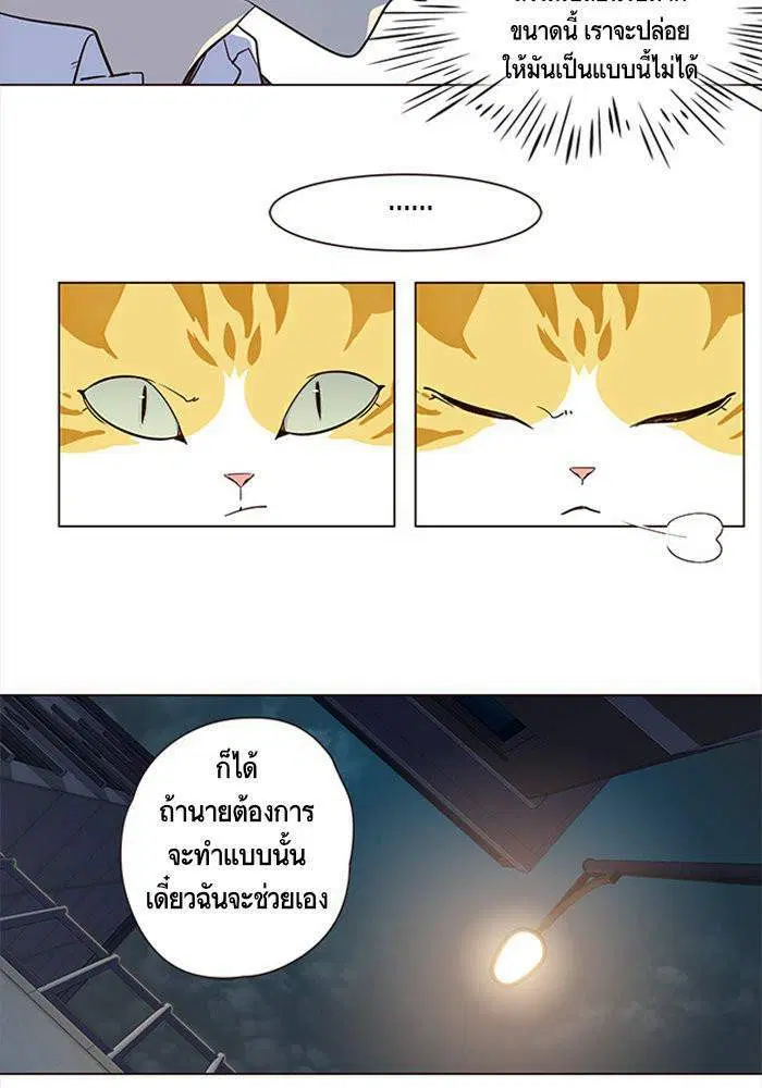หน้า 49 จาก 98