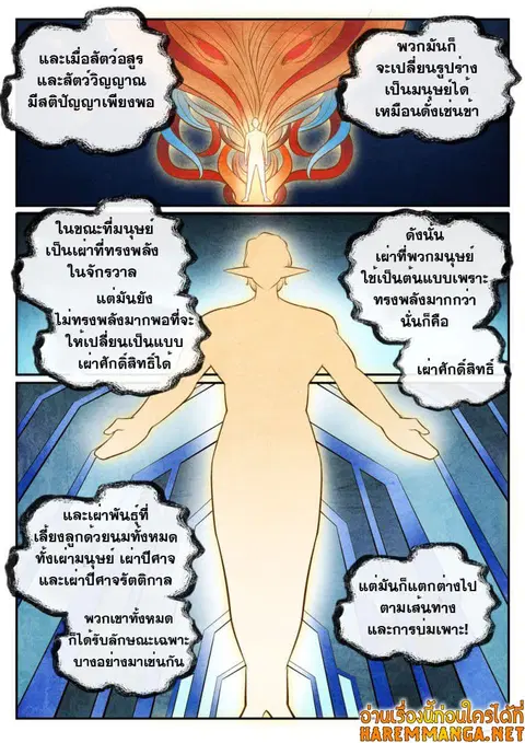 หน้า 10 จาก 13