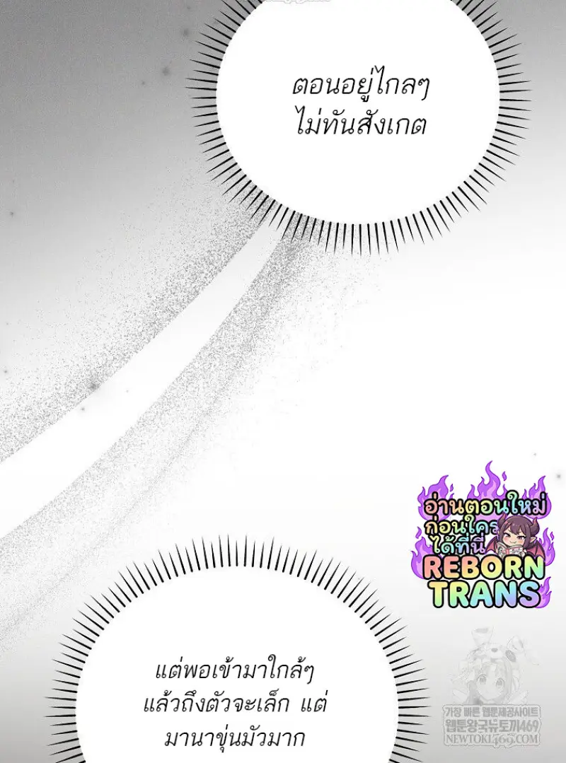 หน้า 29 จาก 139