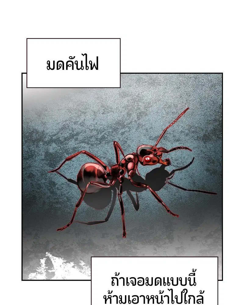 หน้า 55 จาก 165