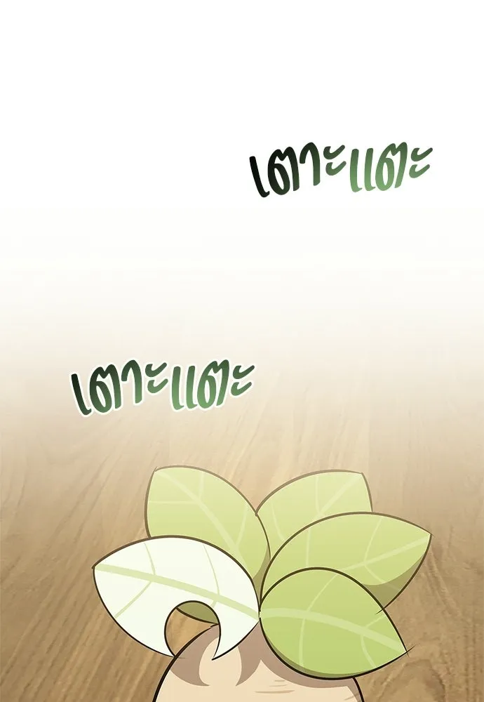 หน้า 37 จาก 156