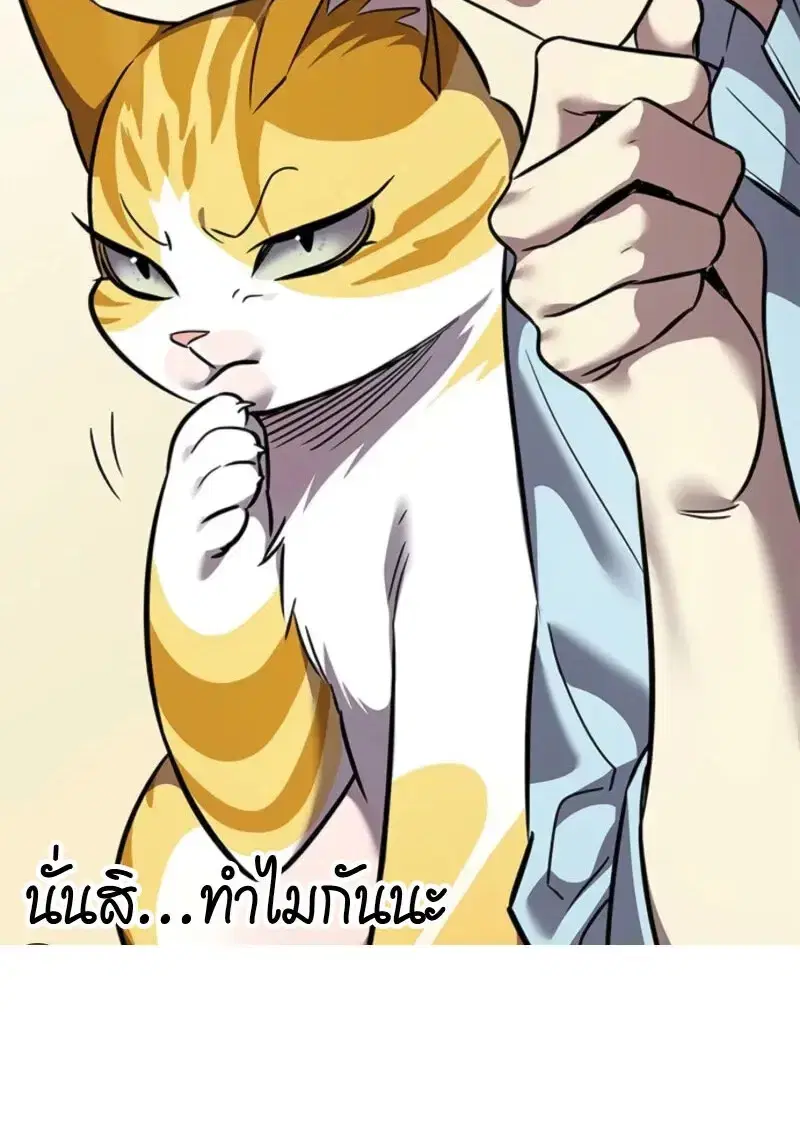 หน้า 96 จาก 148