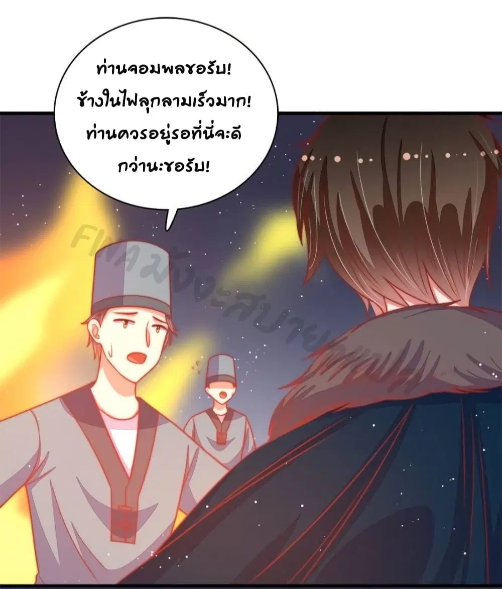 หน้า 13 จาก 31