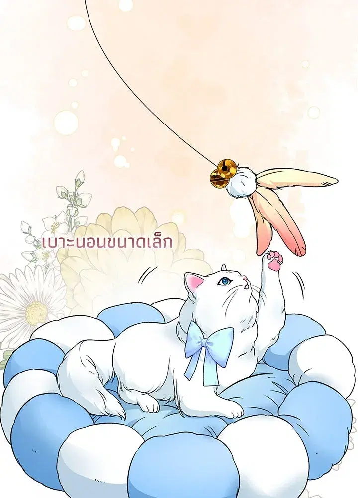 หน้า 35 จาก 119