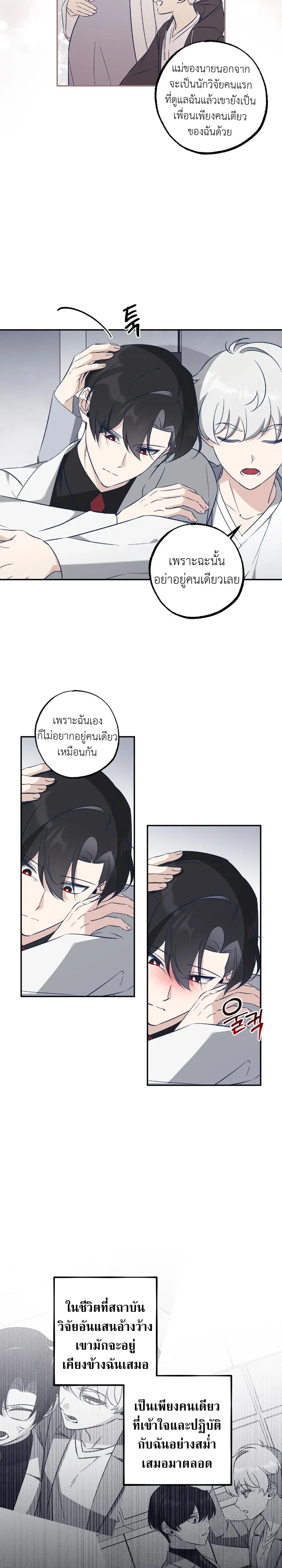 หน้า 3 จาก 23