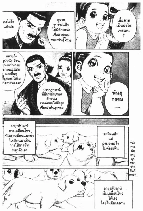 หน้า 3 จาก 20