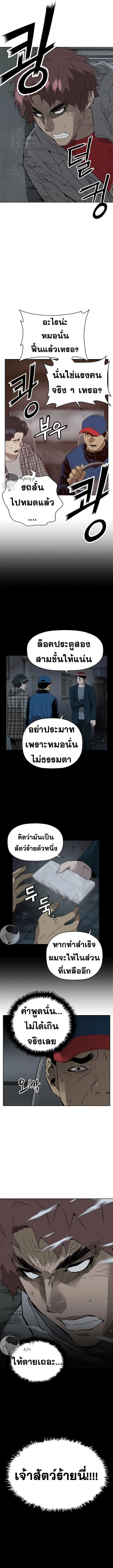 หน้า 5 จาก 15