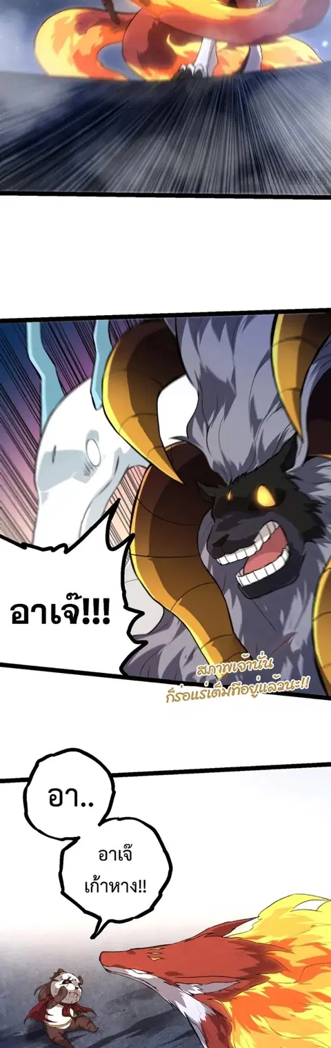 หน้า 19 จาก 37
