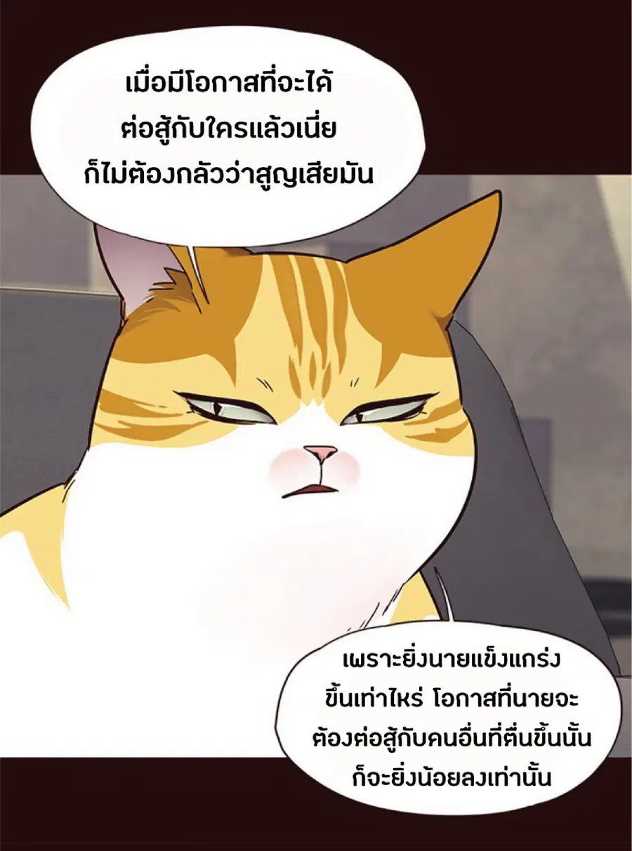 หน้า 45 จาก 80