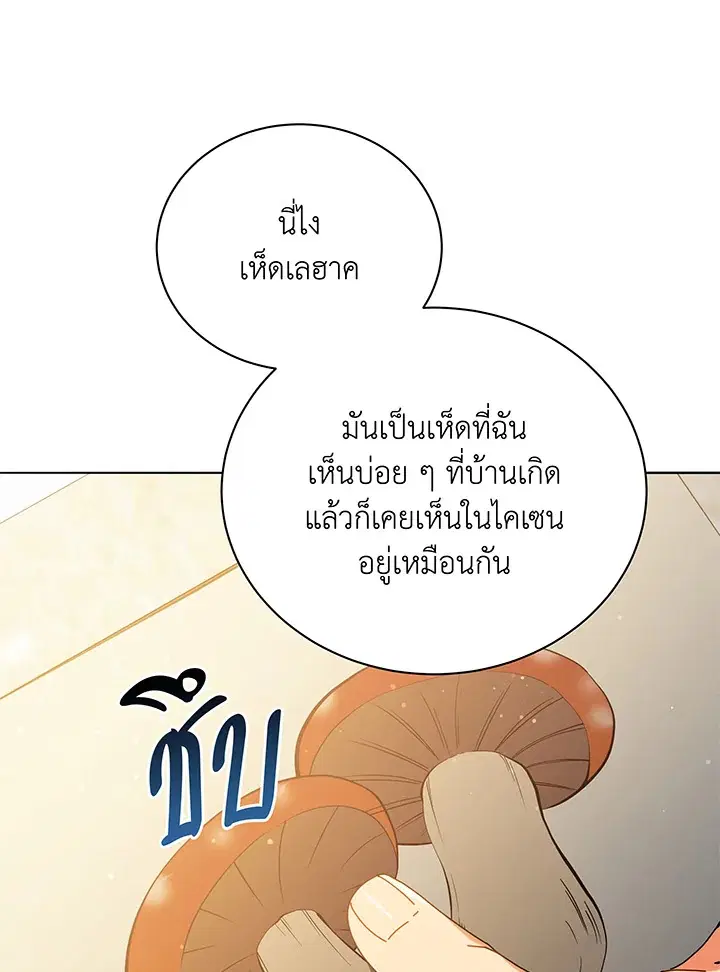 หน้า 82 จาก 117
