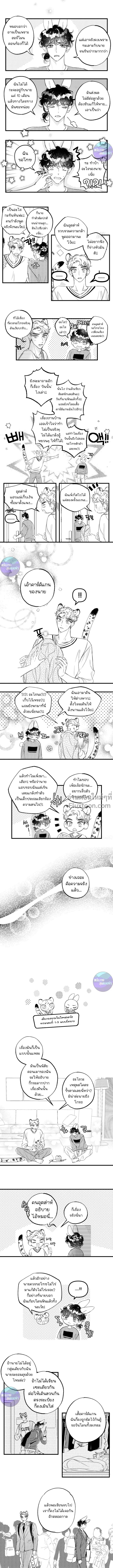 หน้า 4 จาก 6