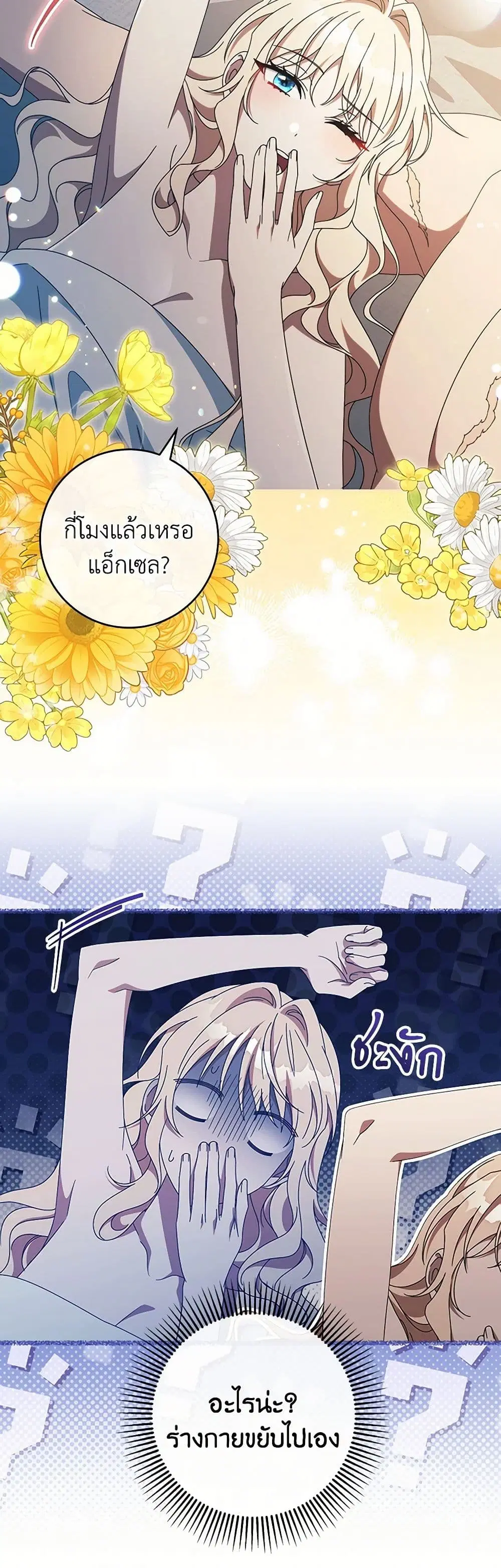 หน้า 3 จาก 42