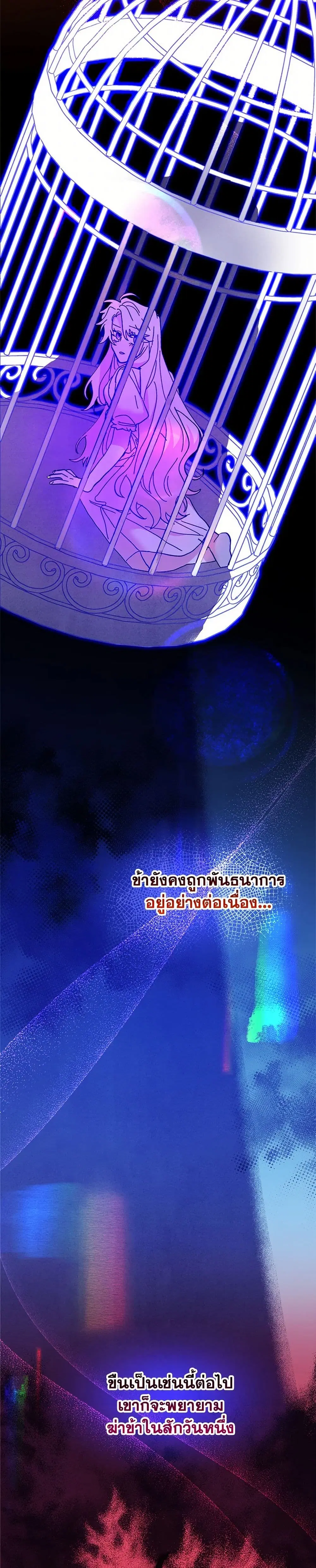 หน้า 23 จาก 41