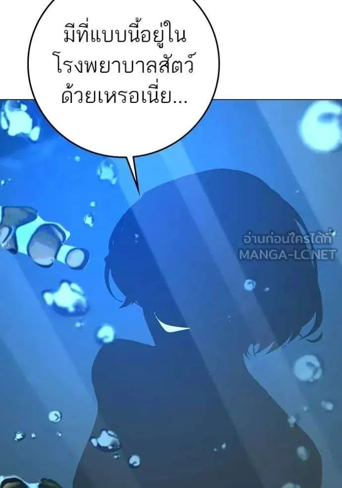 หน้า 113 จาก 247