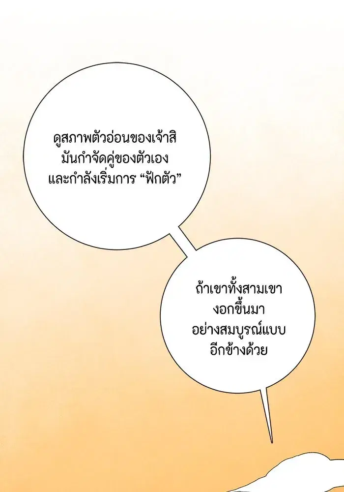 หน้า 29 จาก 142