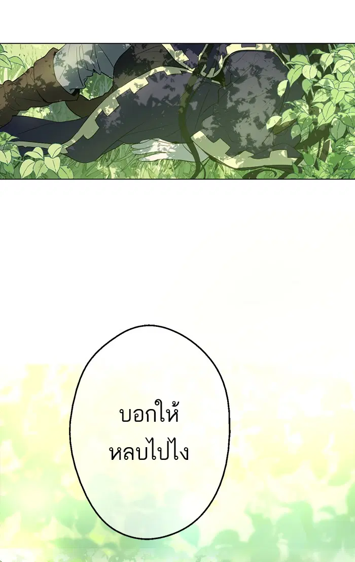 หน้า 11 จาก 96