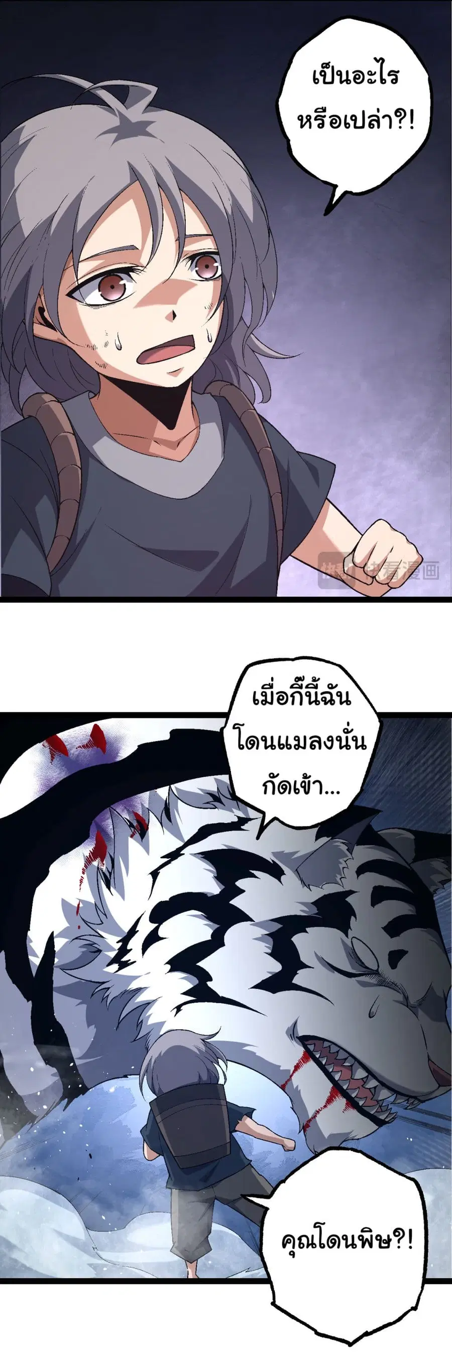 หน้า 5 จาก 42