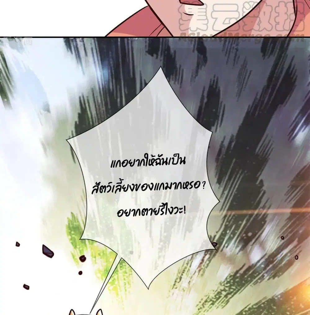 หน้า 25 จาก 47