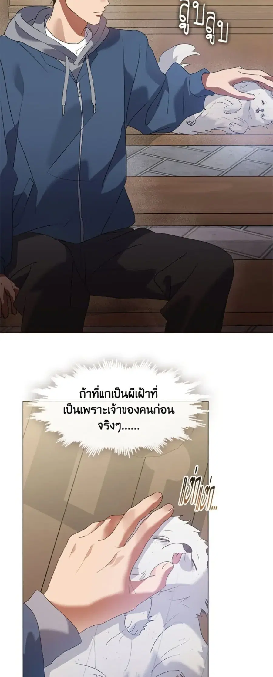 หน้า 43 จาก 52