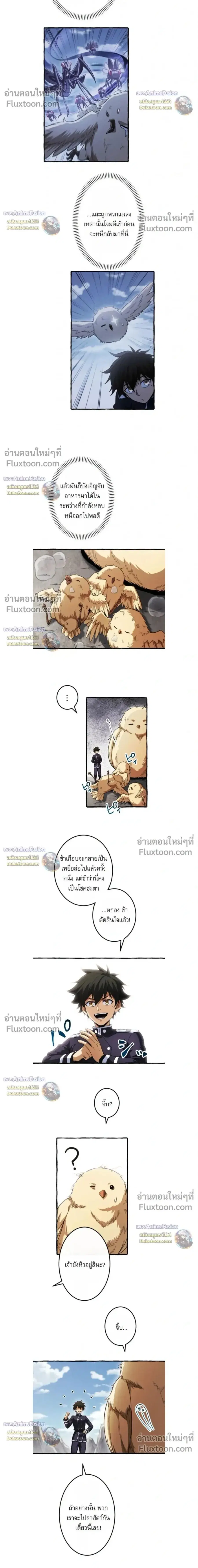 หน้า 11 จาก 13