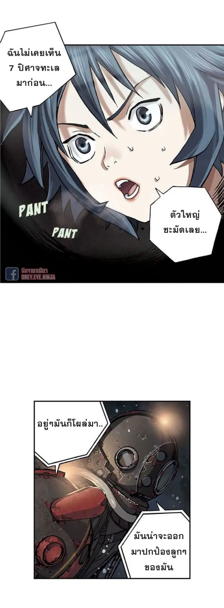 หน้า 4 จาก 24
