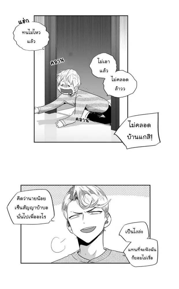หน้า 6 จาก 44