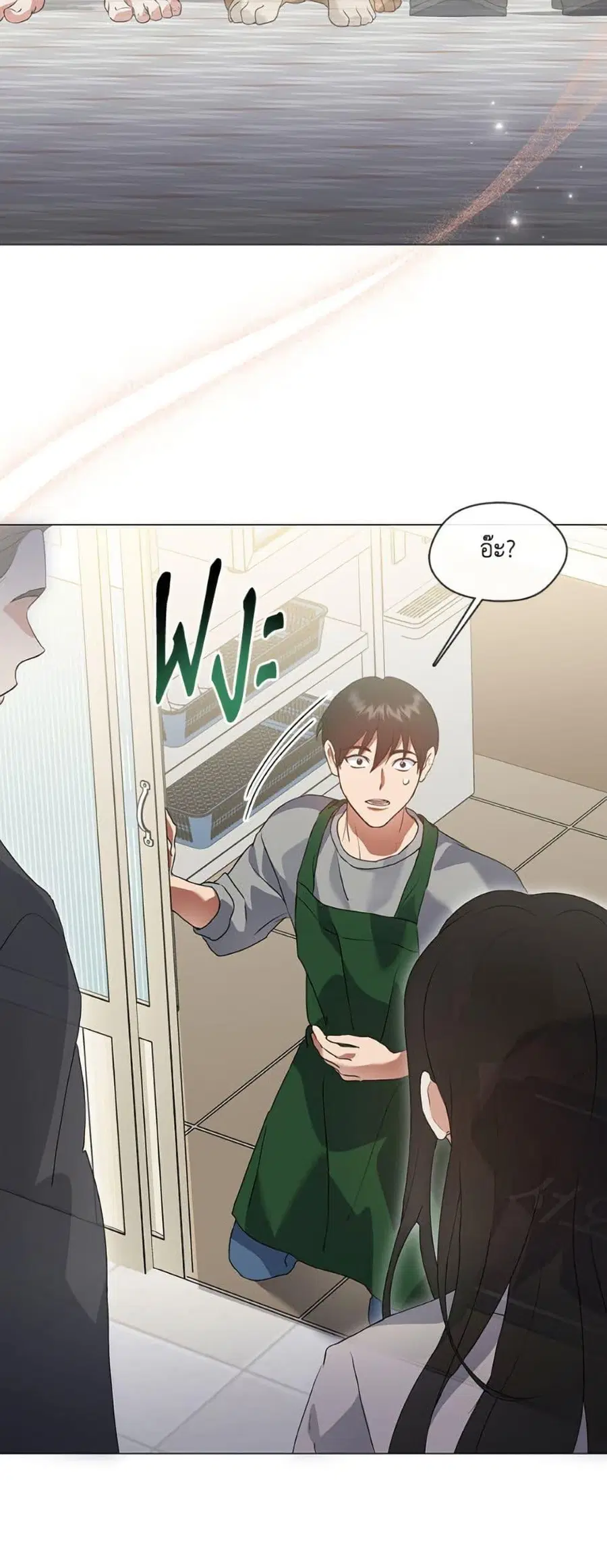 หน้า 13 จาก 52