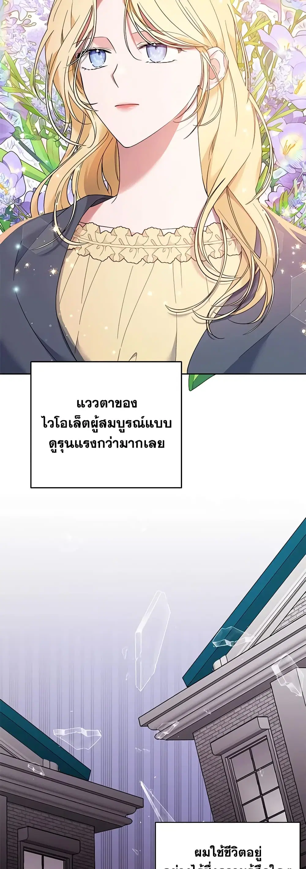 หน้า 8 จาก 50