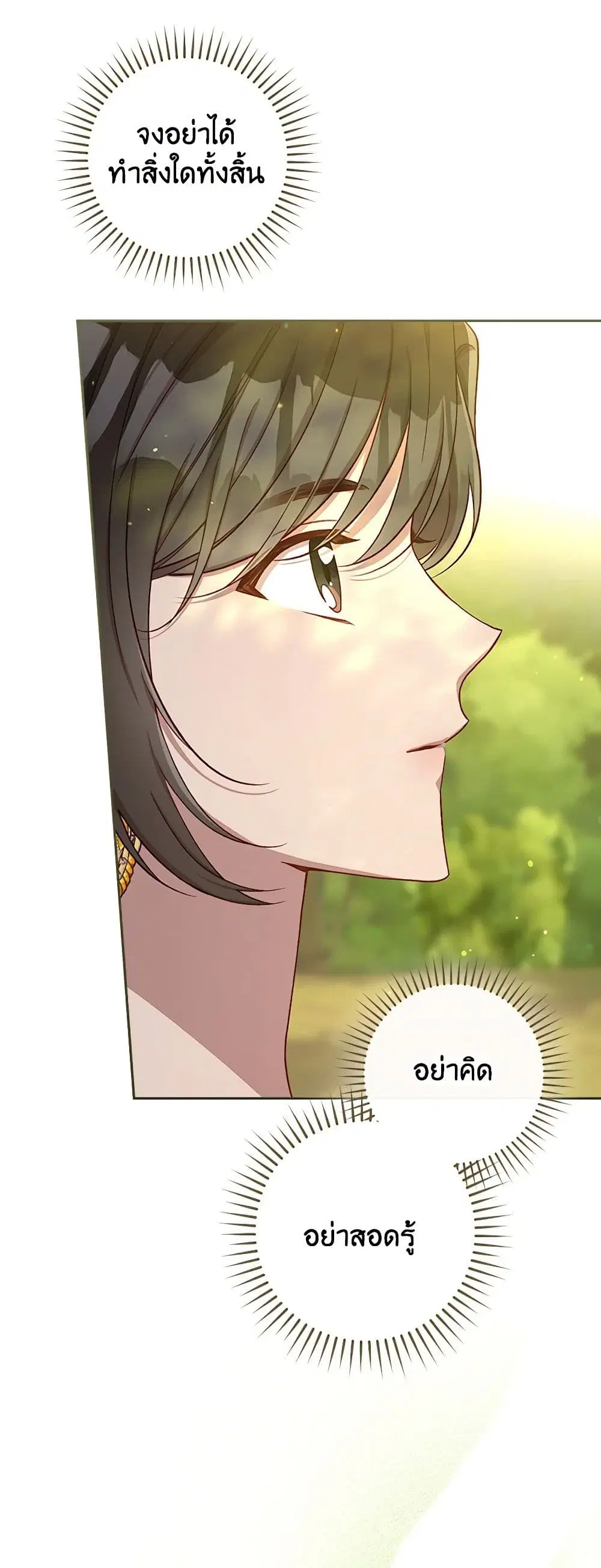 หน้า 26 จาก 42