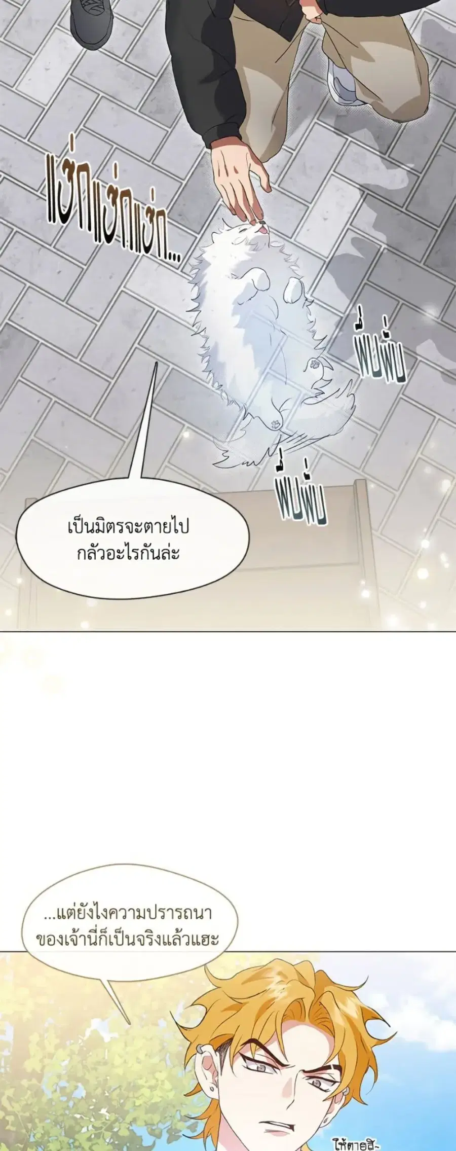 หน้า 20 จาก 52