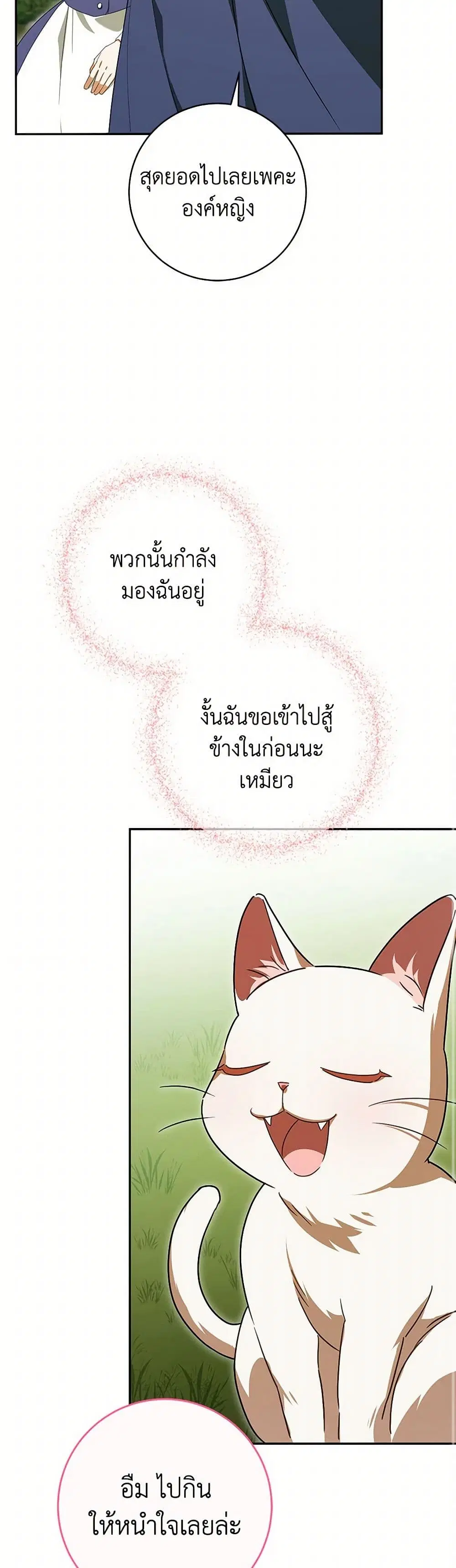หน้า 23 จาก 47