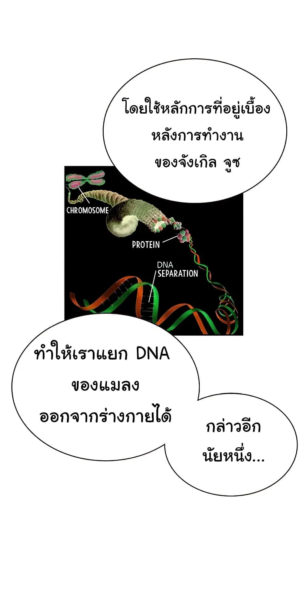หน้า 50 จาก 72