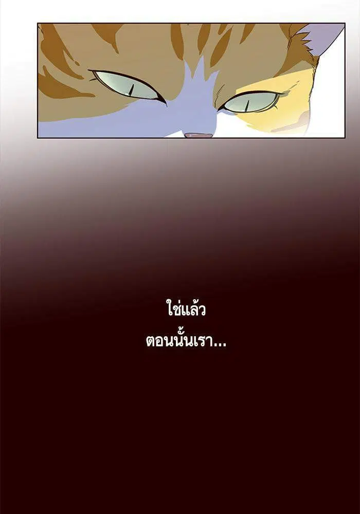หน้า 17 จาก 59