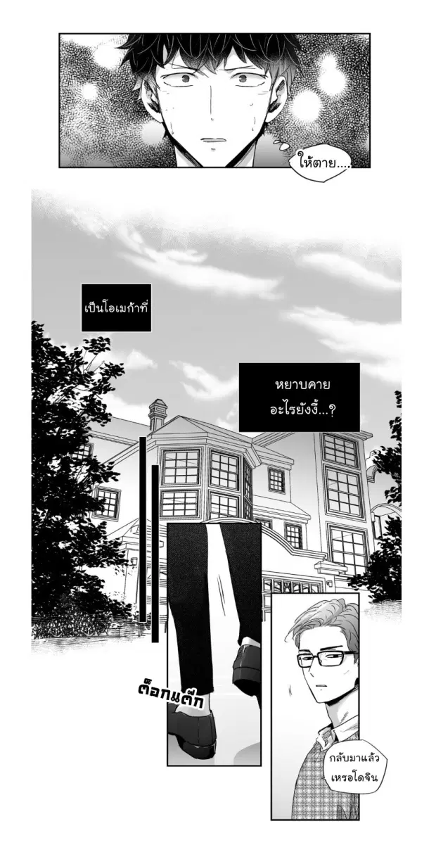 หน้า 20 จาก 41