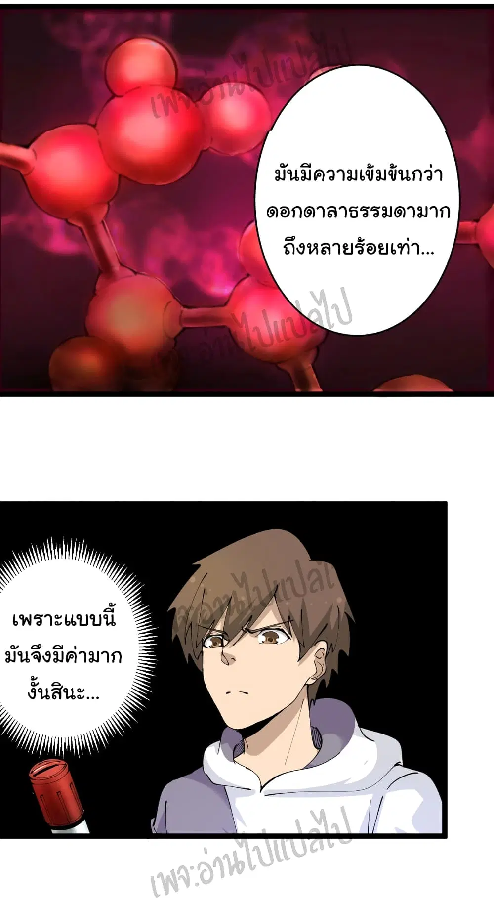 หน้า 26 จาก 29