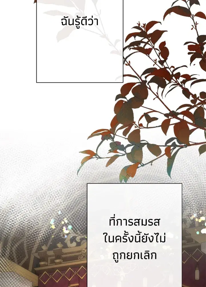 หน้า 73 จาก 150