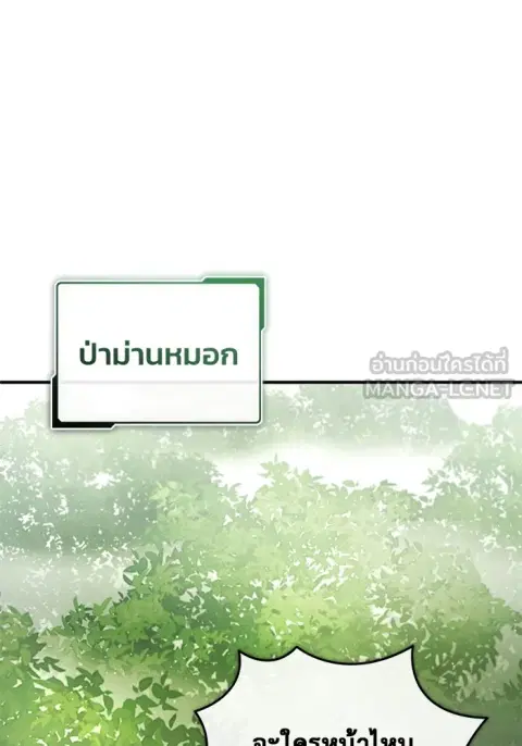 หน้า 29 จาก 120