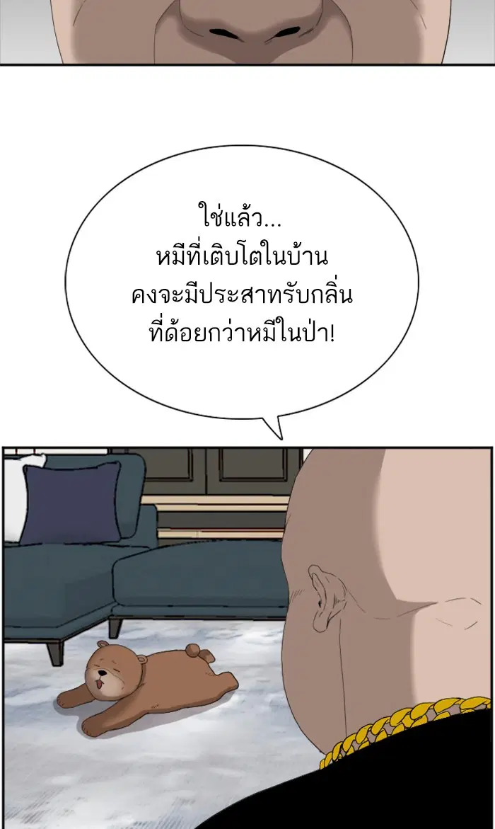 หน้า 42 จาก 108